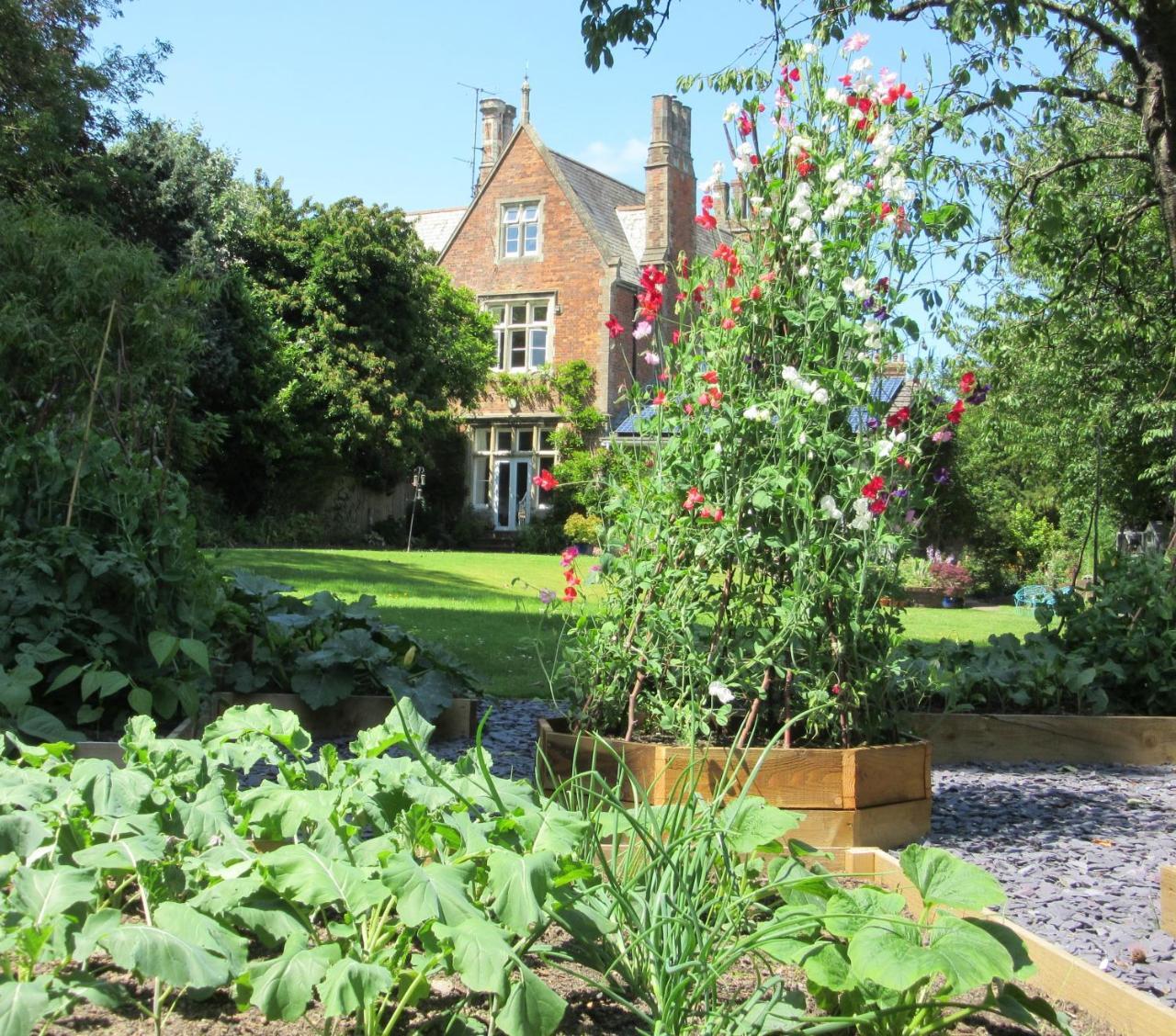 The Old Vicarage B & B Barnstaple Exterior photo